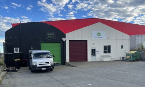 48 Spey Street, Invercargill