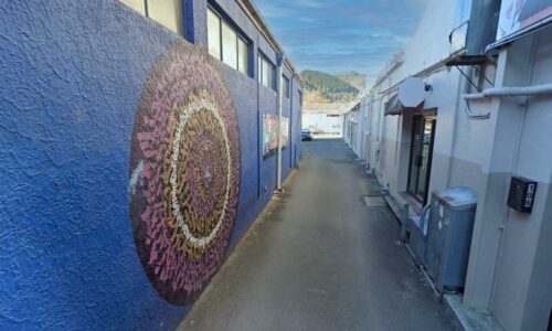 Rutherford Mews, Nelson